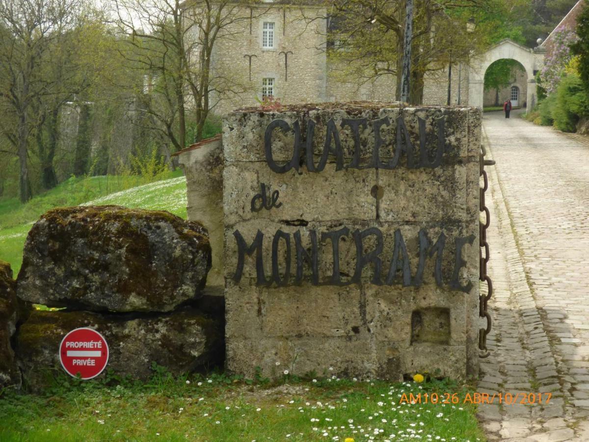 Chateau De Montrame Soisy-Bouy Bagian luar foto
