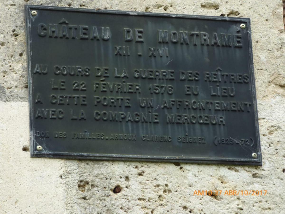 Chateau De Montrame Soisy-Bouy Bagian luar foto